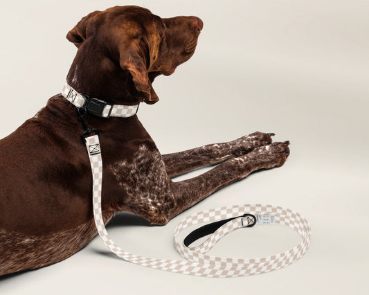 Custom Dog Pet Leash - Checkered Sand - TLC Paws