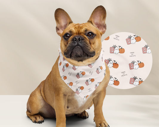 Halloween Boo Crew Dog Bandana- Matching Family Set - TLC Paws