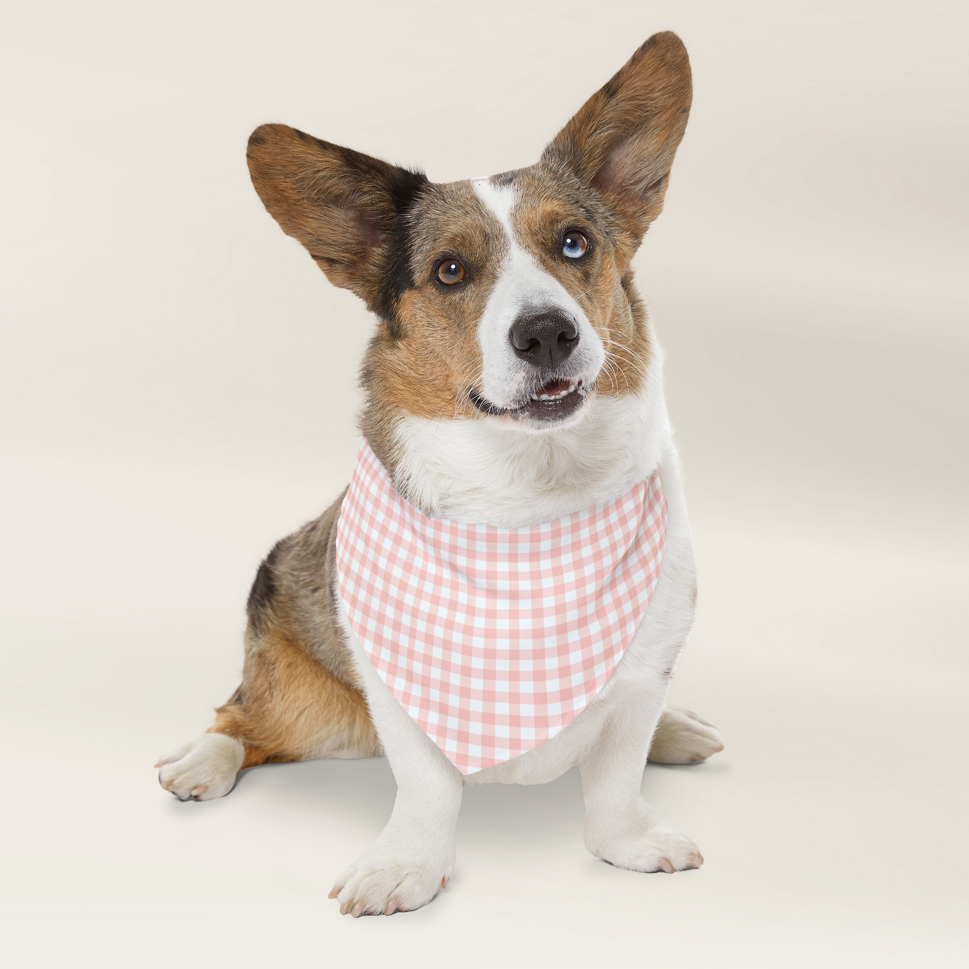 Custom Pet Bandana - Gingham Pink - TLC Paws