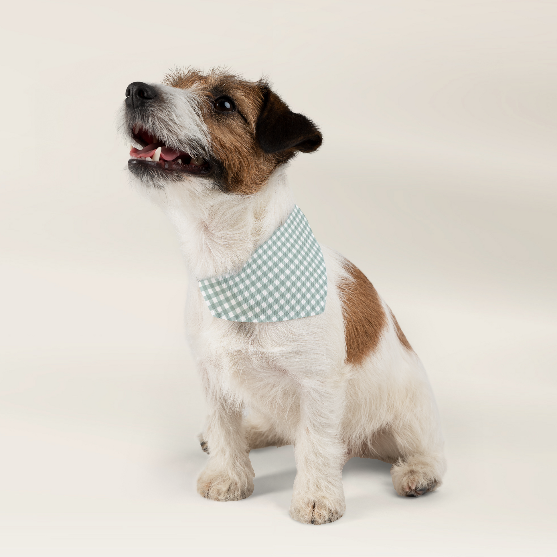 Pet Bandana Over The Collar - Gingham Sage - TLC Paws