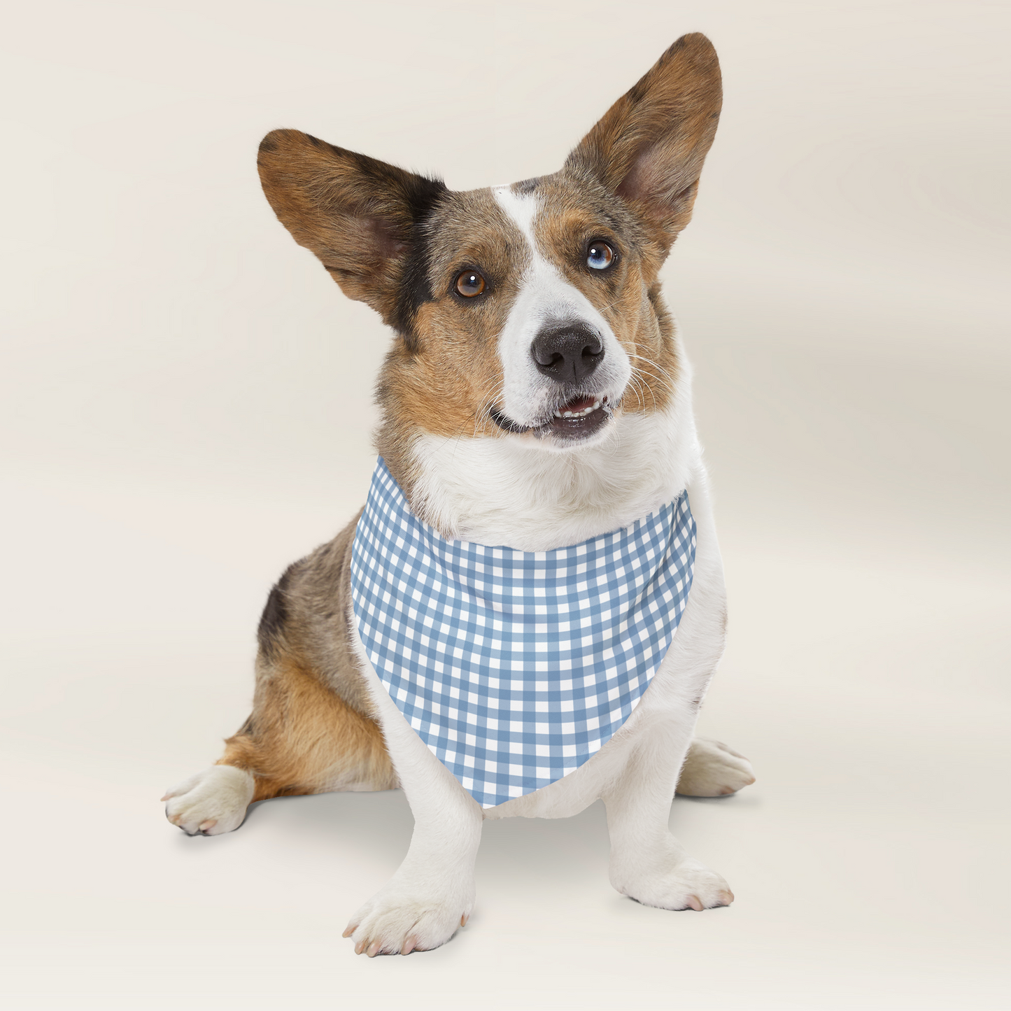 Custom Pet Bandana - Gingham Blue - TLC Paws