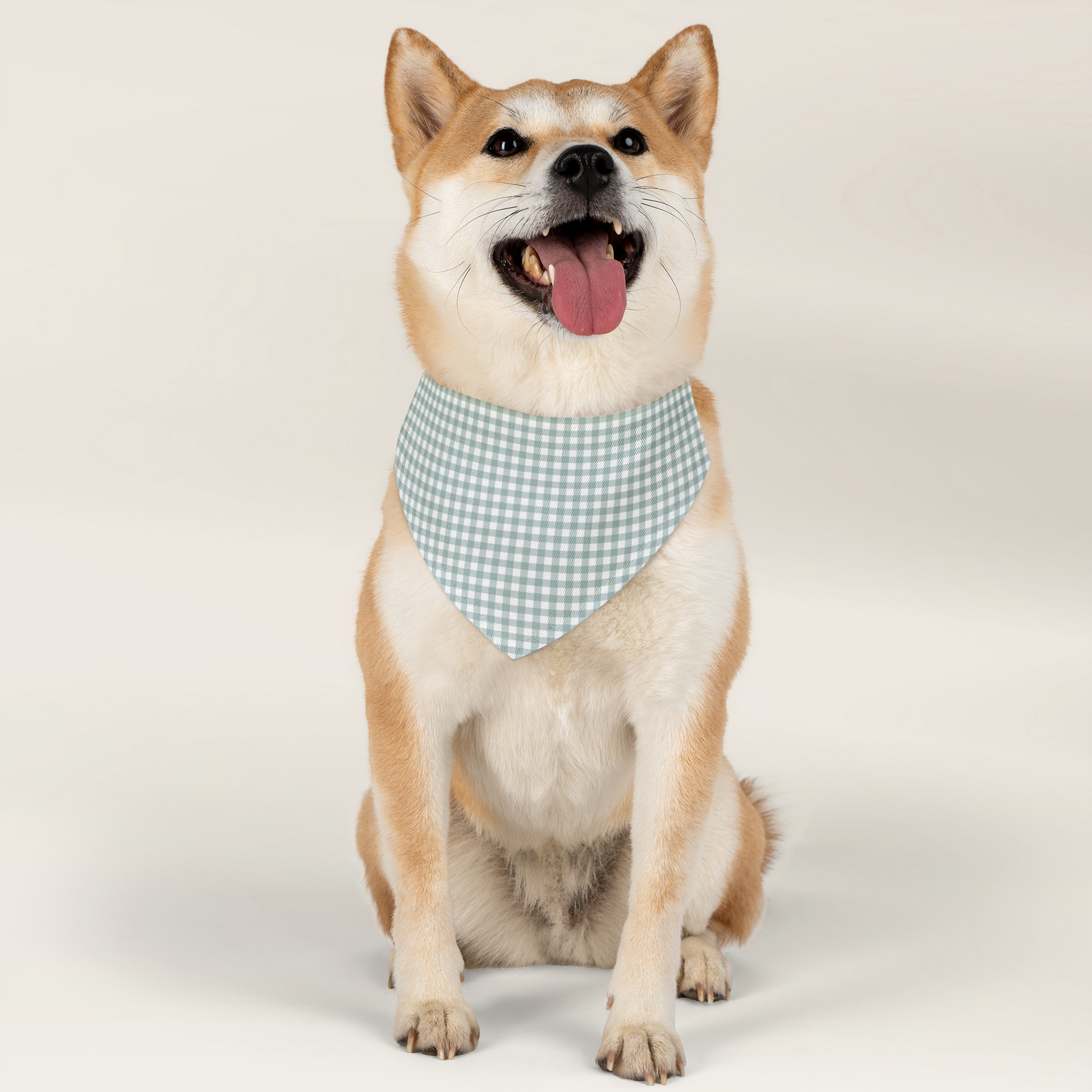 Pet Bandana Over The Collar - Gingham Sage - TLC Paws