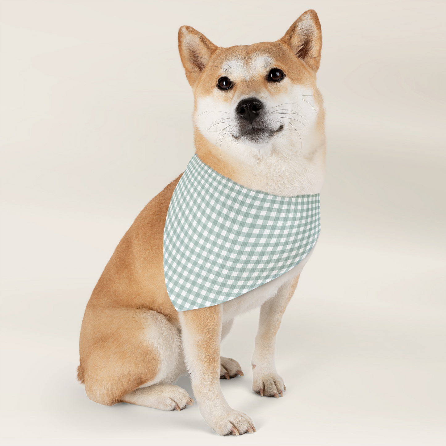 Pet Bandana Over The Collar - Gingham Sage - TLC Paws