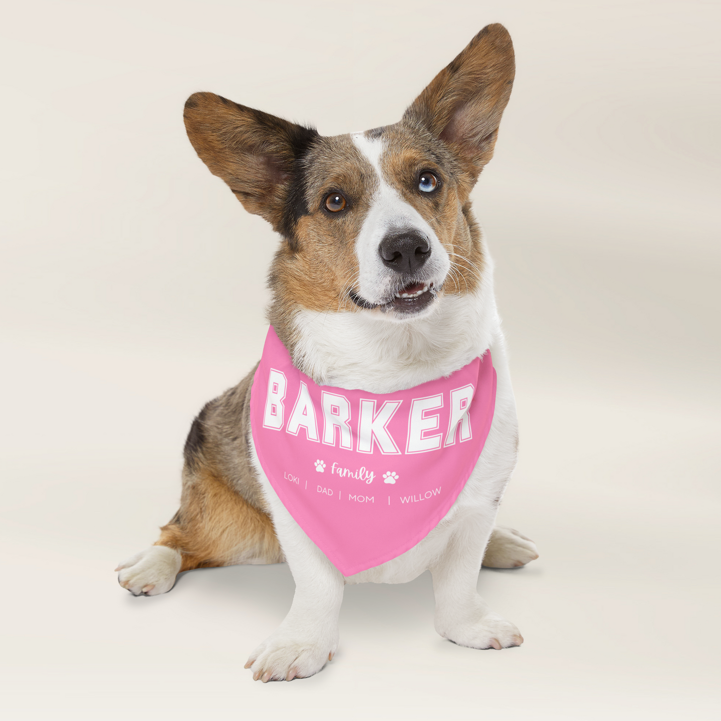 Personalised Family Surname Pet Bandana Over The Collar - TLC Paws