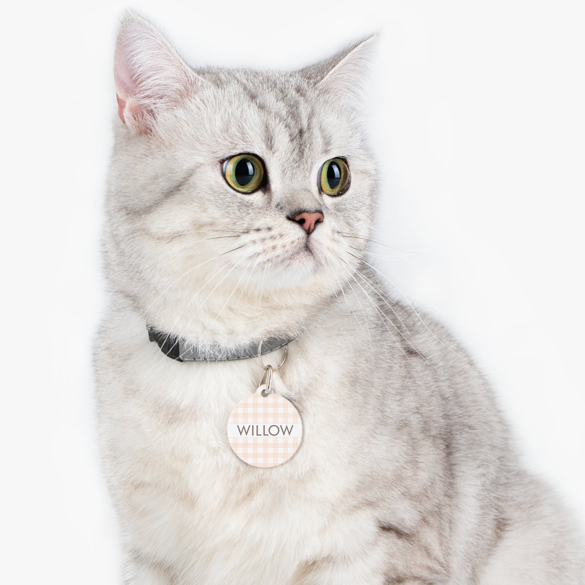 Gingham Personalized Pet Dog or Cat ID Tag - Peaches & Cream - TLC Paws