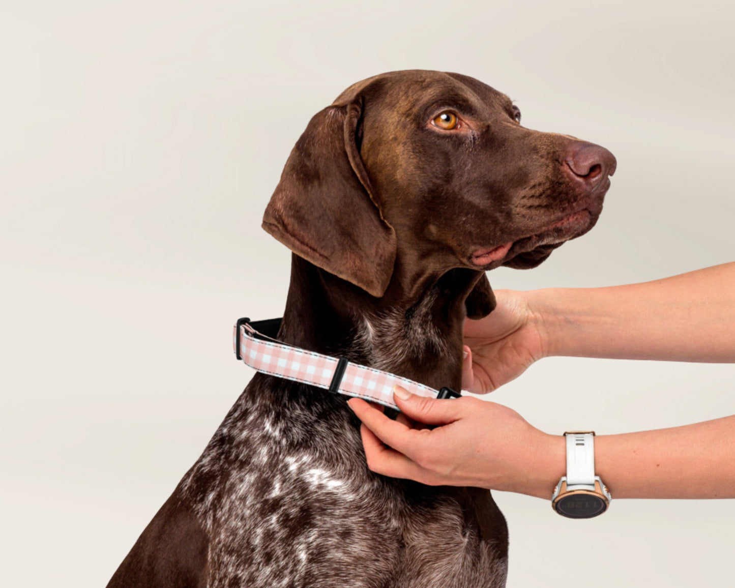 Pet Collar and Leash Set - Gingham Pink - TLC Paws