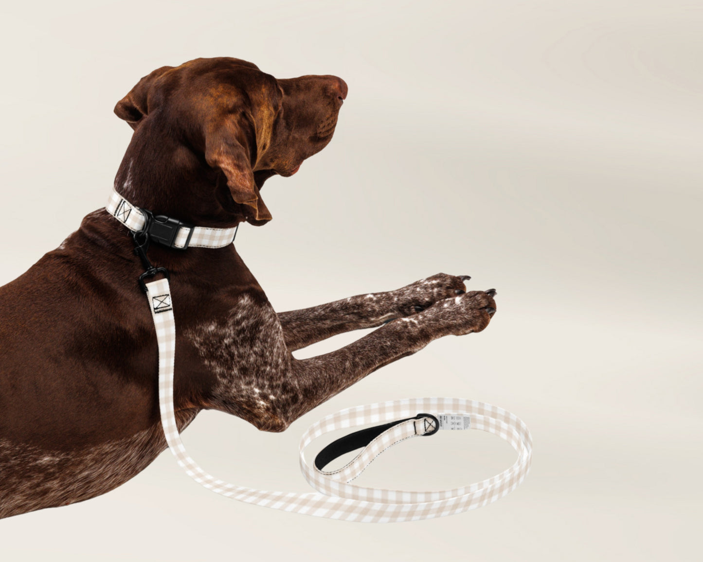 Custom Dog Pet Collar - Gingham Sand - TLC Paws