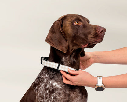 Custom Dog Pet Collar - Gingham Sand - TLC Paws