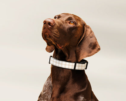 Custom Dog Pet Collar - Gingham Sand - TLC Paws