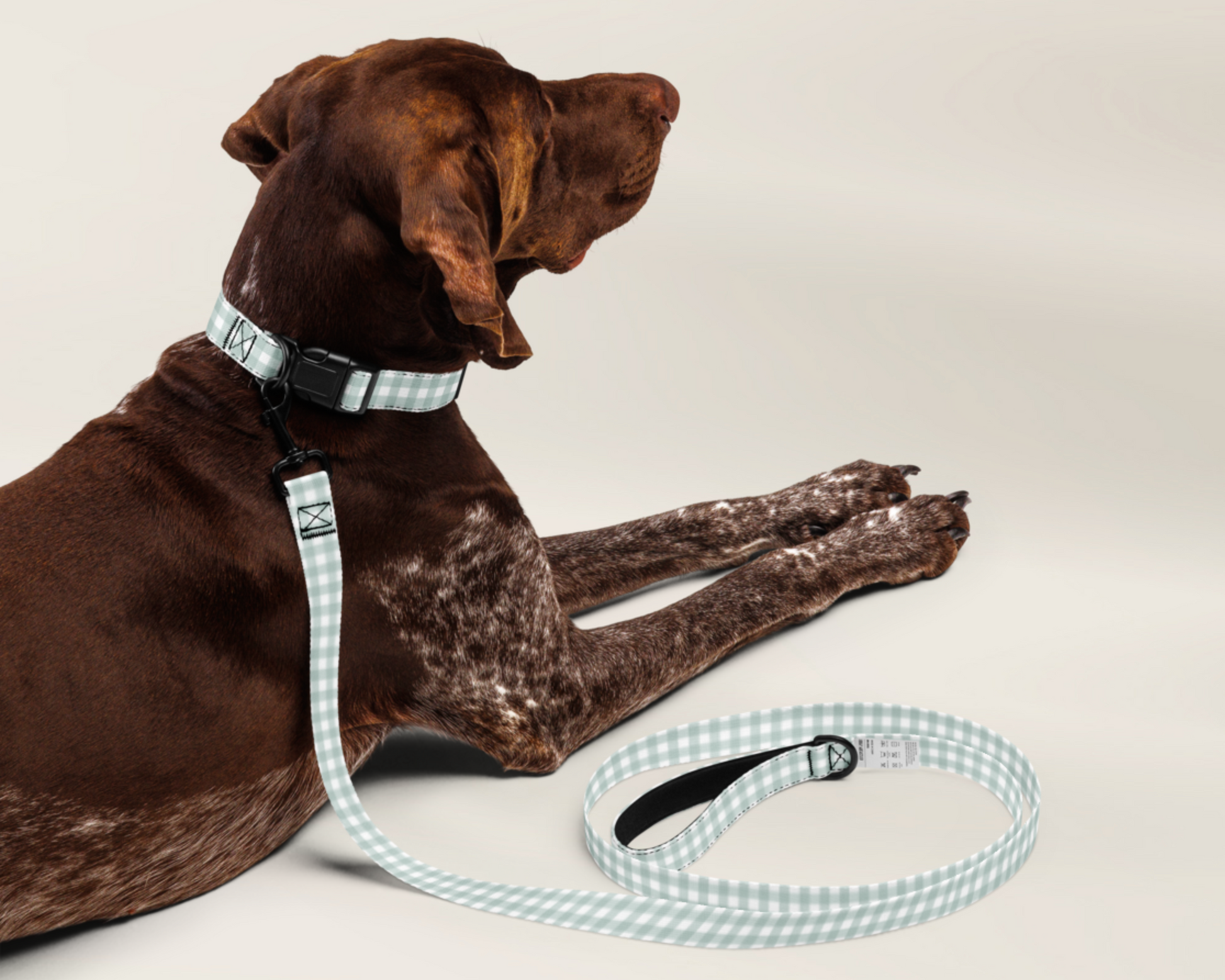 Dog Collar and Pet Leash Set - Gingham Sage - TLC Paws