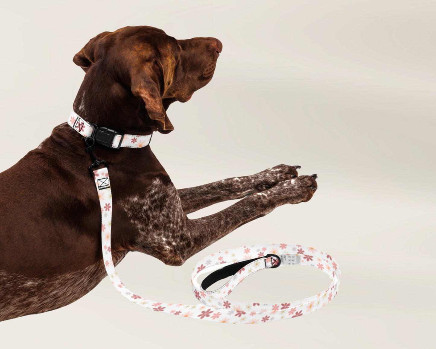 Dog Collar and Leash Set - Retro Floral - TLC Paws