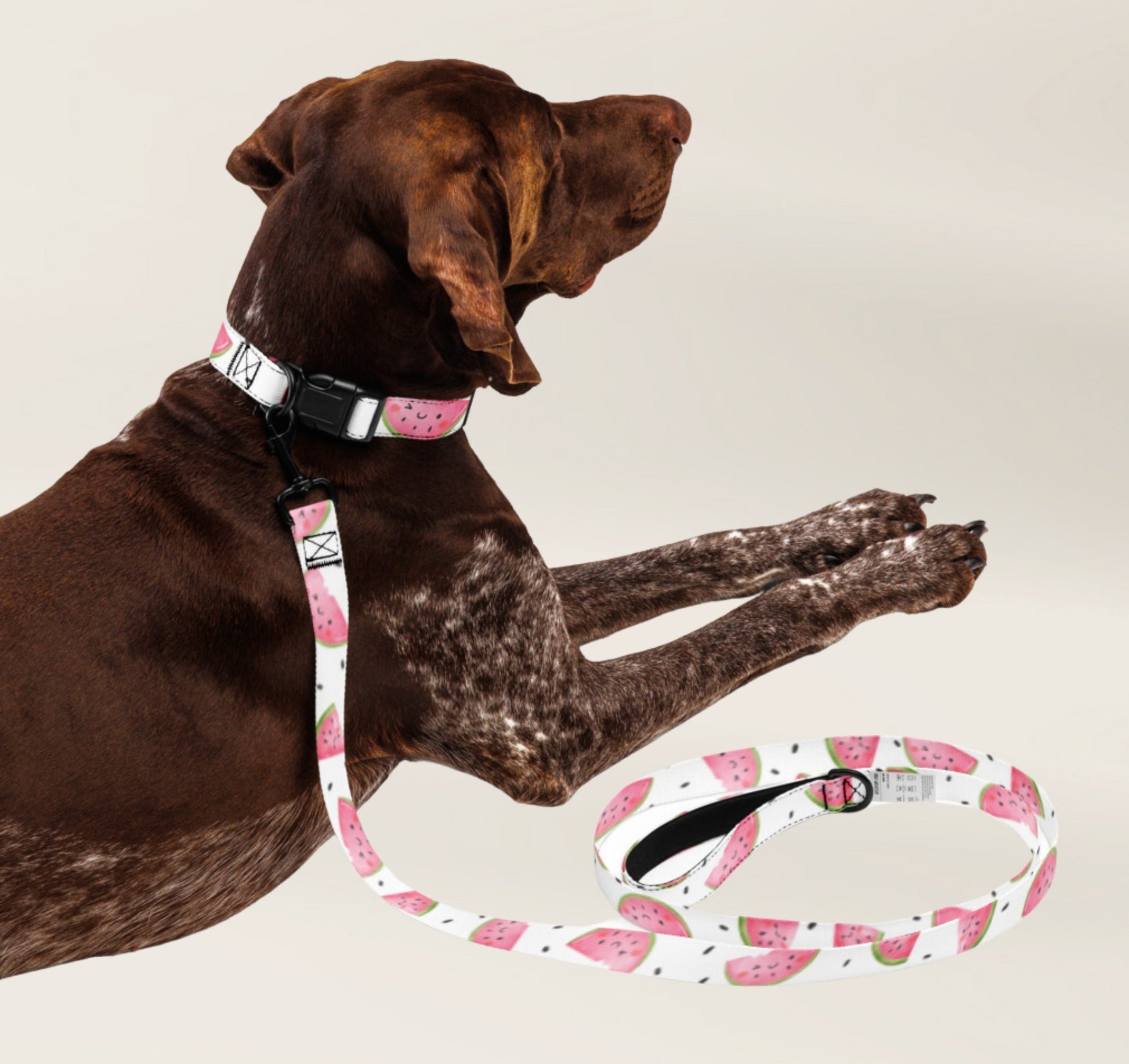 Pet Collar and Leash Set - Watermelon - TLC Paws