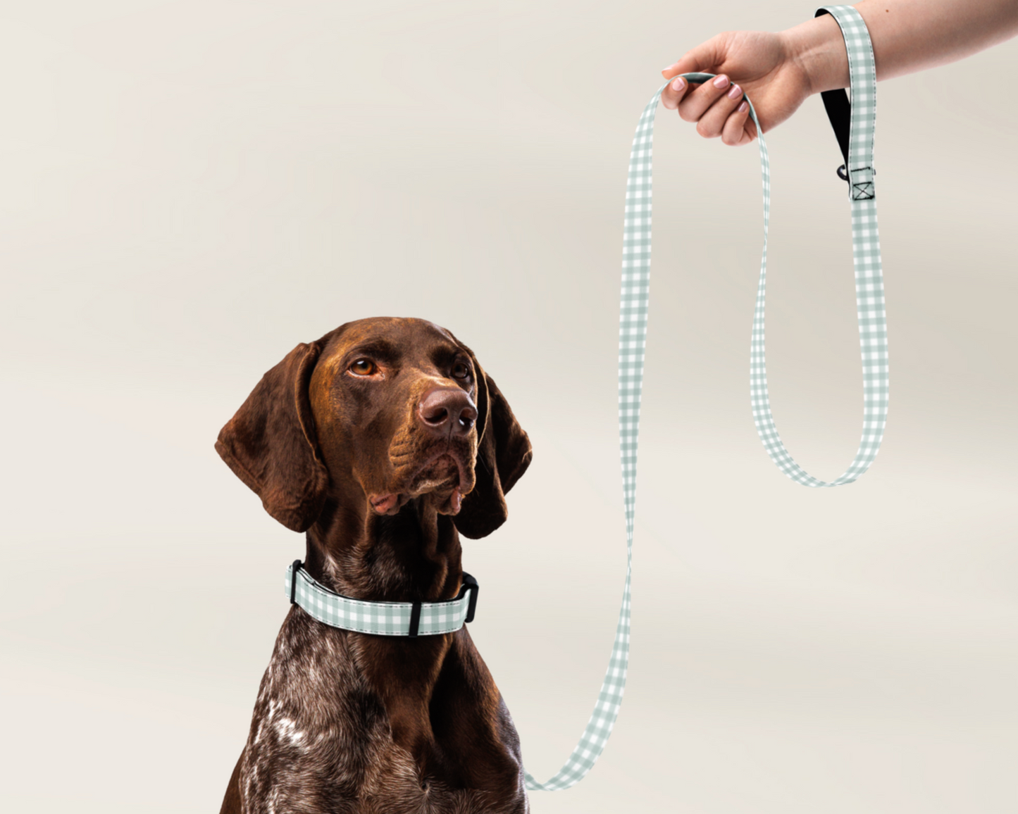 Dog Collar and Pet Leash Set - Gingham Sage - TLC Paws