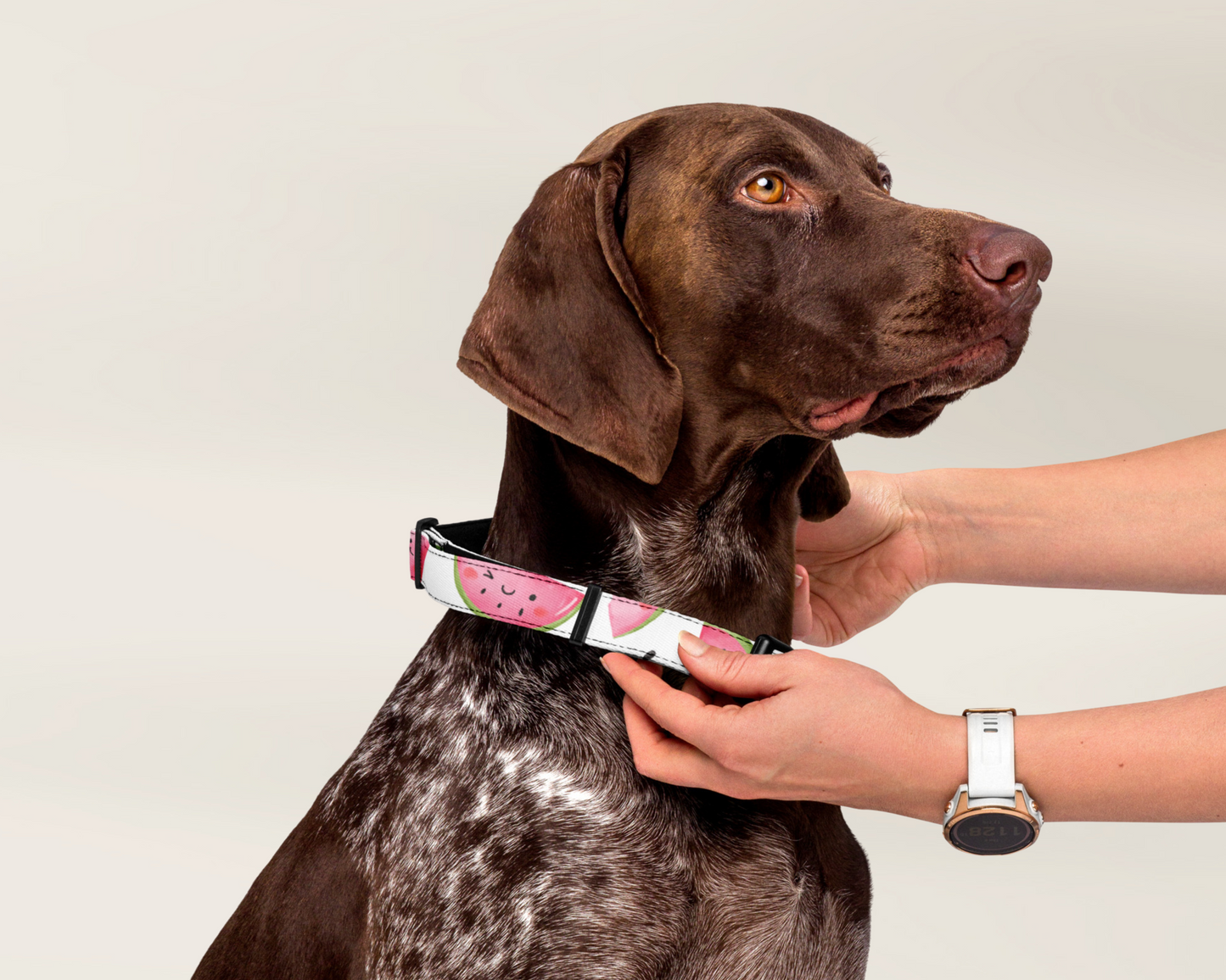 Dog Collar - Watermelon - TLC Paws