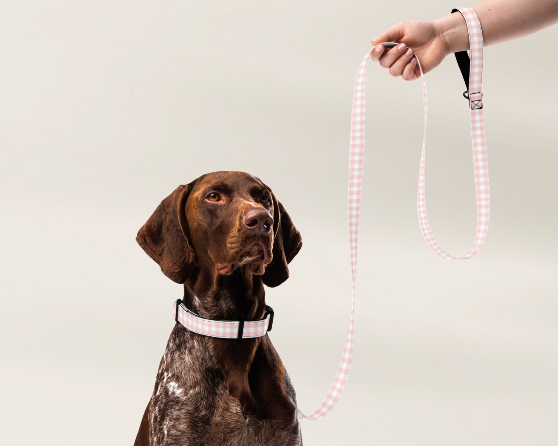 Pet Collar and Leash Set - Gingham Pink - TLC Paws