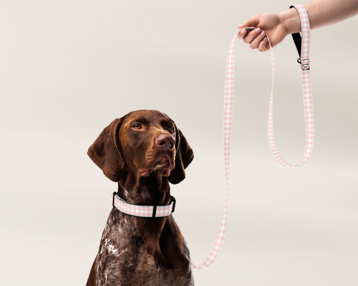 Custom Dog Pet Leash - Gingham Pink - TLC Paws