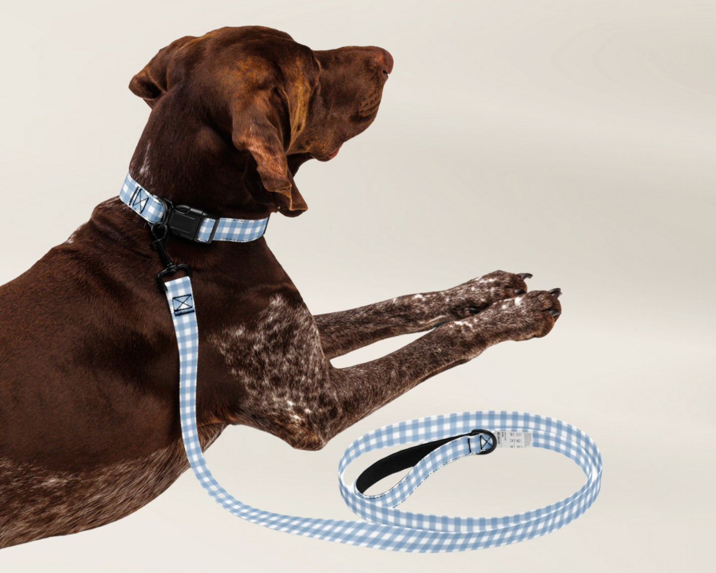 Custom Pet Dog Leash - Gingham Blue - TLC Paws