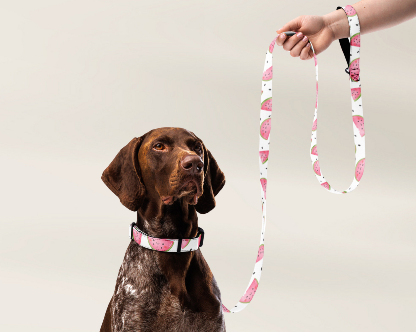 Dog Collar - Watermelon - TLC Paws