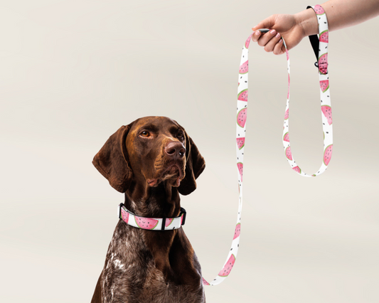 Pet Collar and Leash Set - Watermelon - TLC Paws