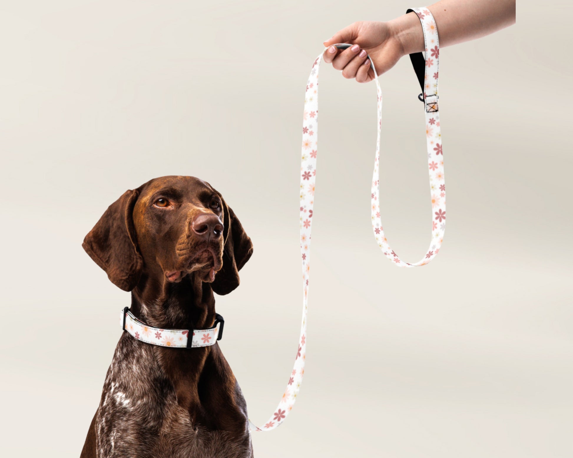 Dog Collar and Leash Set - Retro Floral - TLC Paws