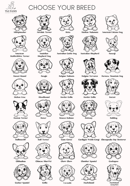 My Best Friend Has Paws Baby Onesie - Personalised Dog - TLC Paws
