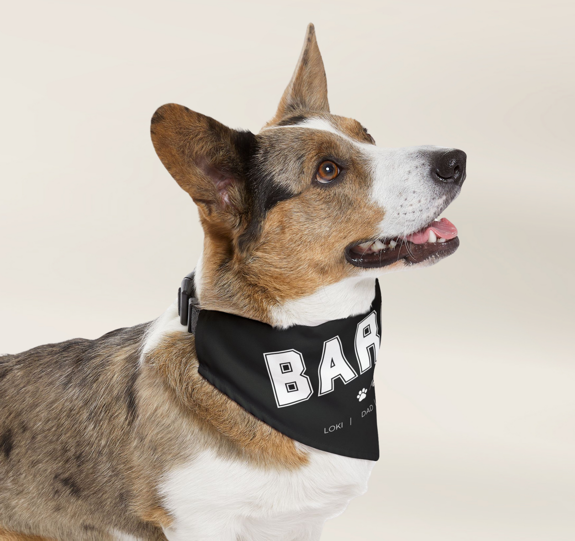 Personalised Family Surname Pet Bandana Over The Collar - TLC Paws