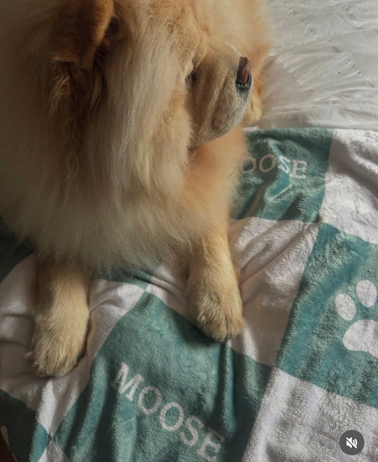 Personalised Blanket & Throw - Sage - TLC Paws