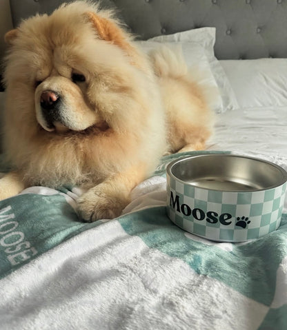 Personalised Dog Bowl - Checkered Stainless Steel Food and Water Bowl