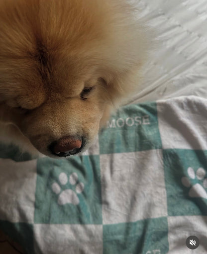 Personalised Pet Blanket and Throw - Sage - TLC Paws