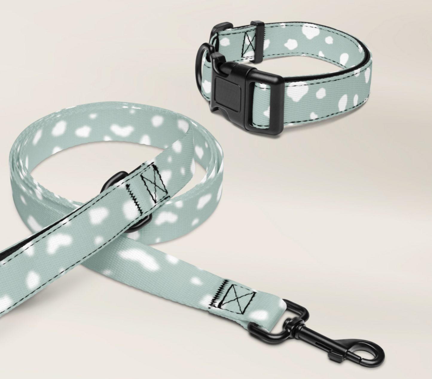 Dog Collar and Leash Set