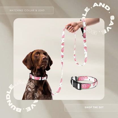 Pet Collar and Leash Set - Watermelon - TLC Paws