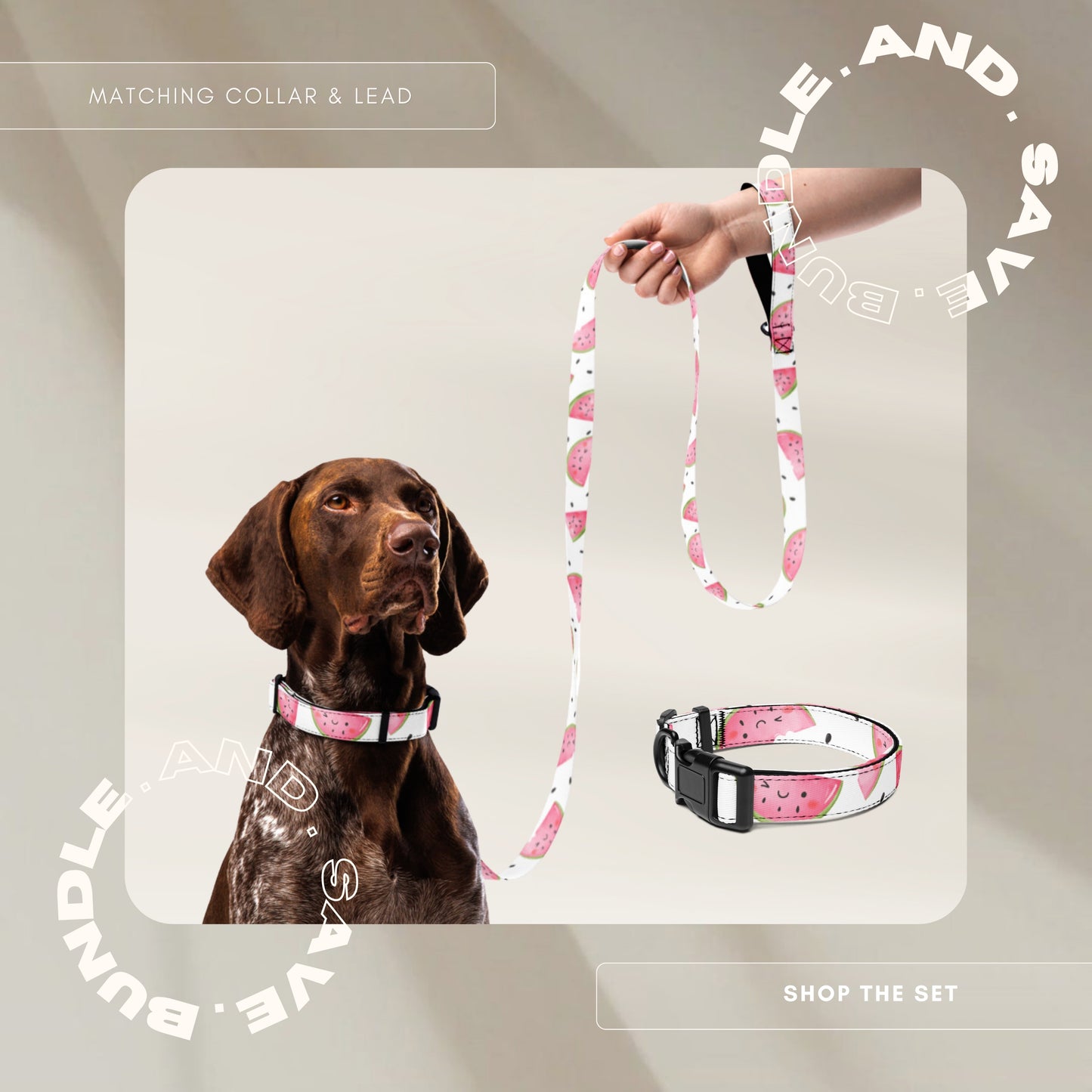 Dog Collar - Watermelon - TLC Paws