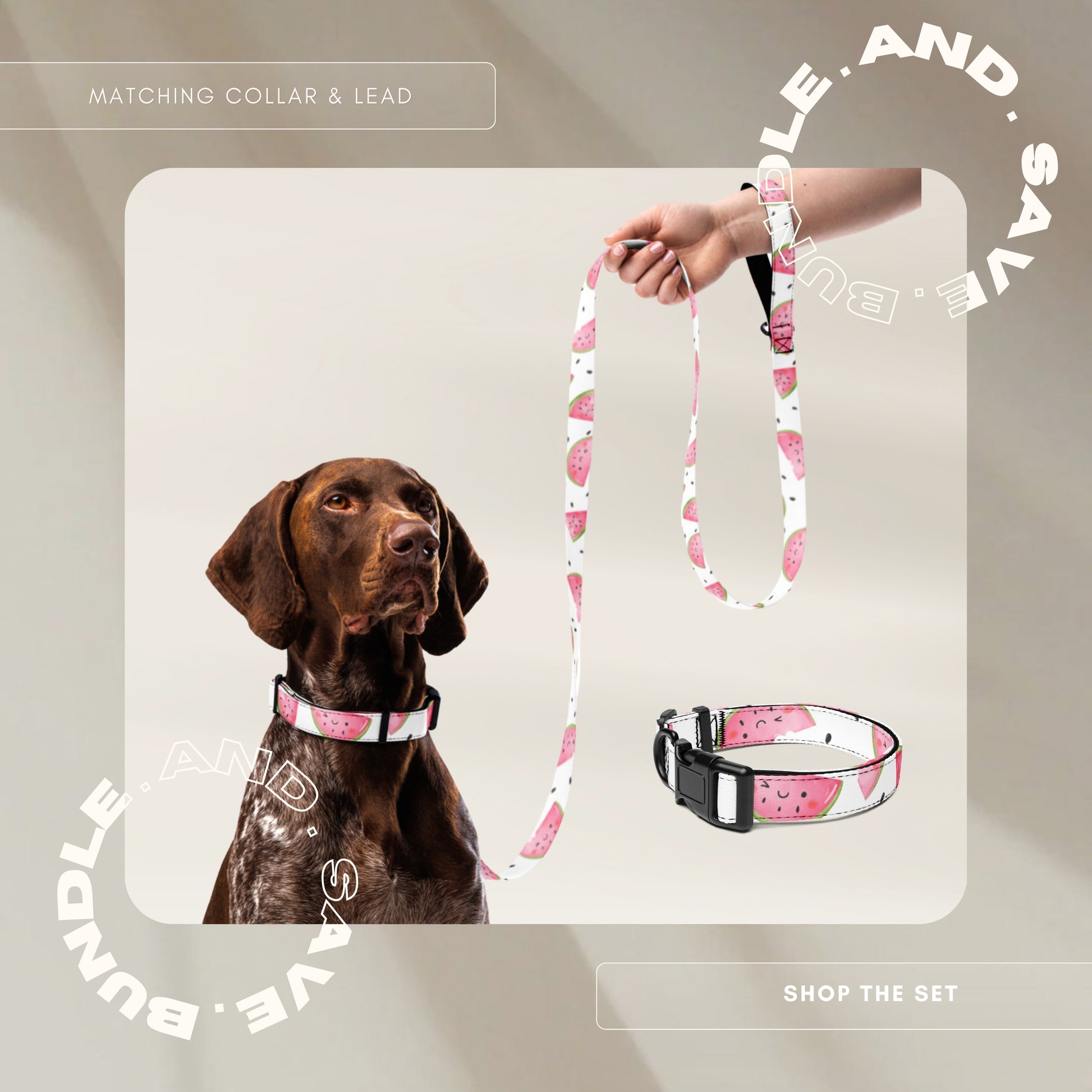 Dog Collar - Watermelon - TLC Paws