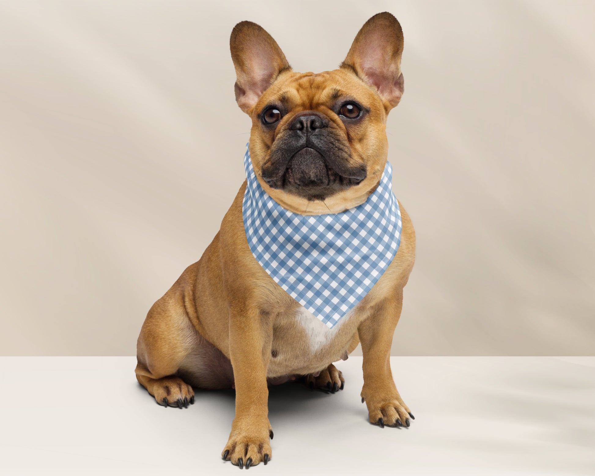 Custom Pet Bandana - Gingham Blue - TLC Paws