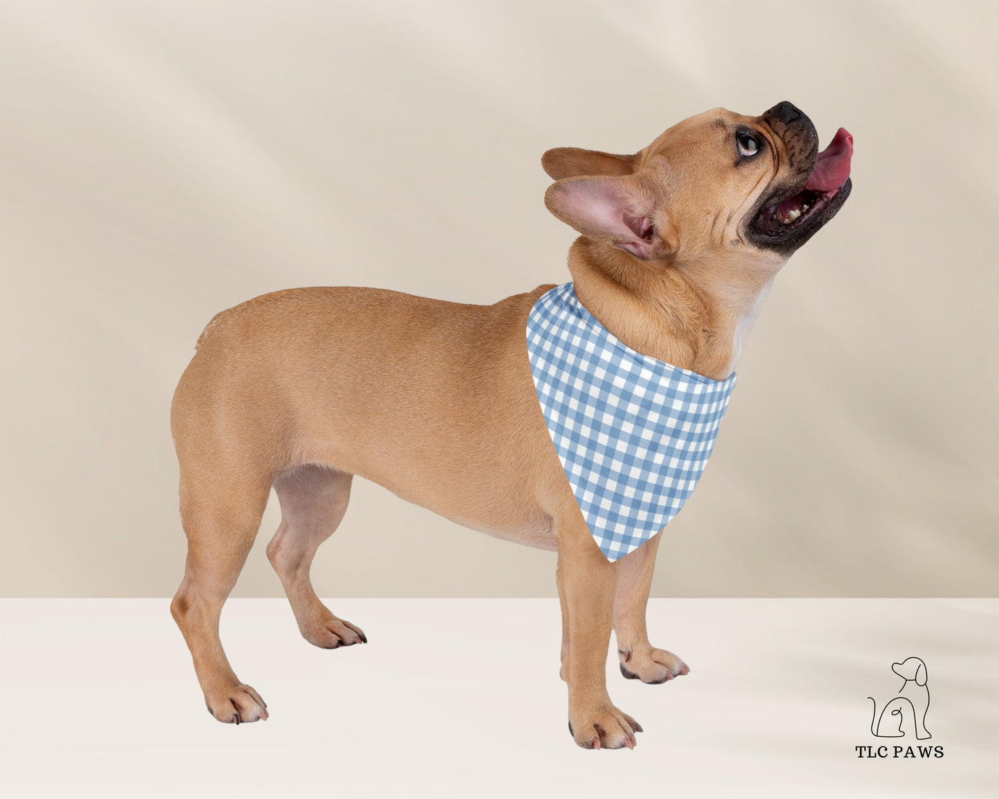 Custom Pet Bandana - Gingham Blue - TLC Paws