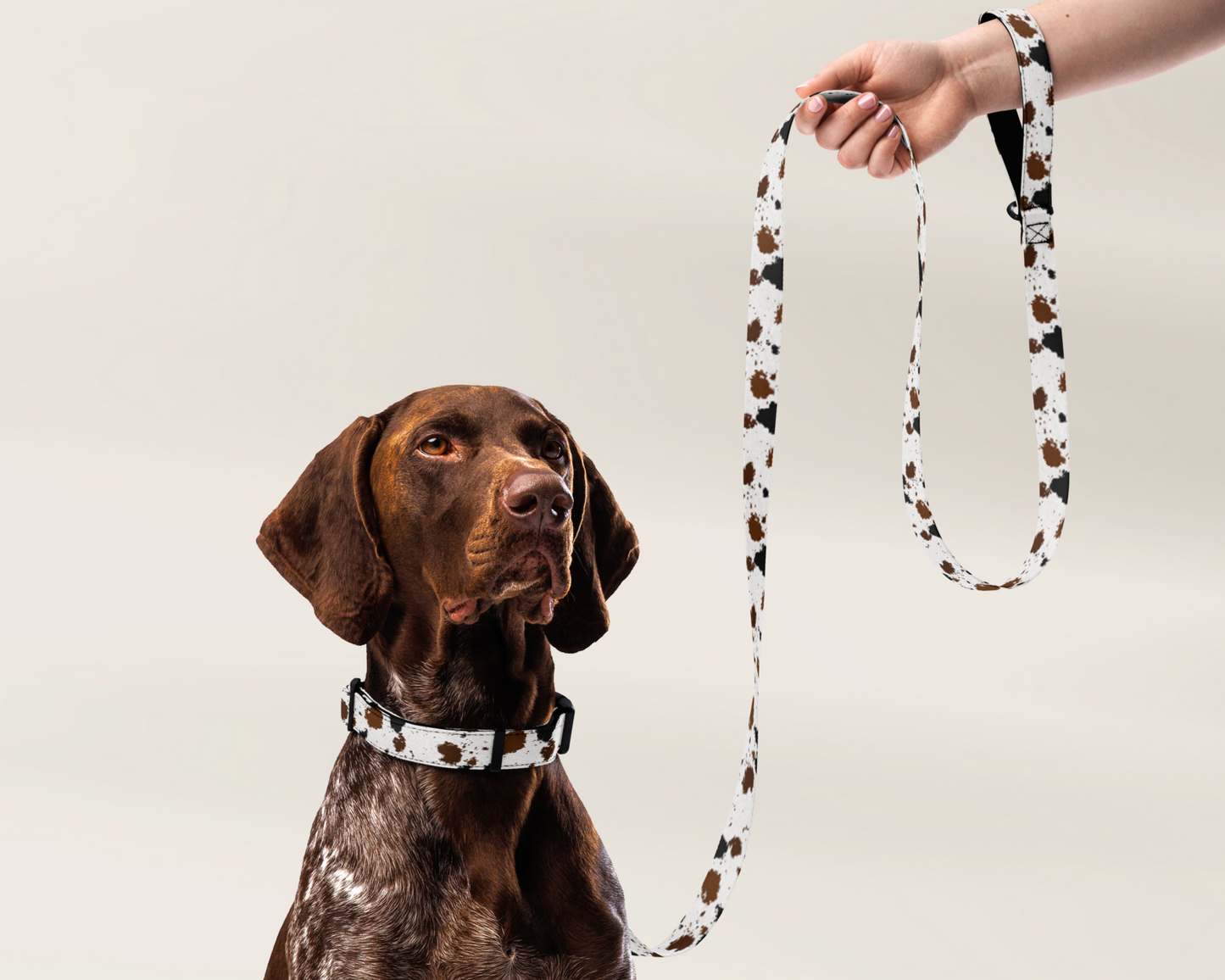 Dog Leash - Cowhide Animal Print - TLC Paws