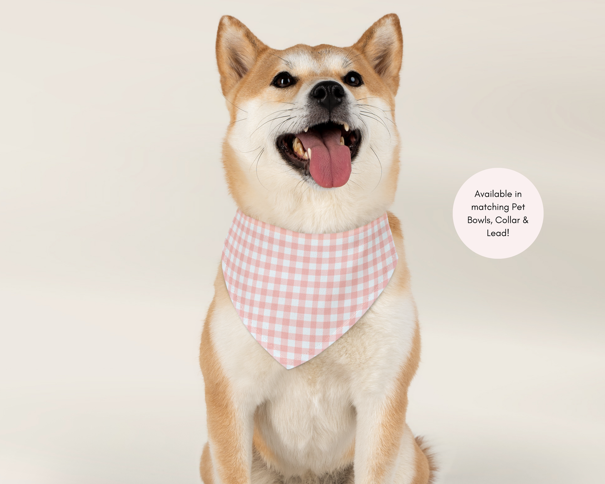 Dog Bandana - Checkered Pink - TLC Paws