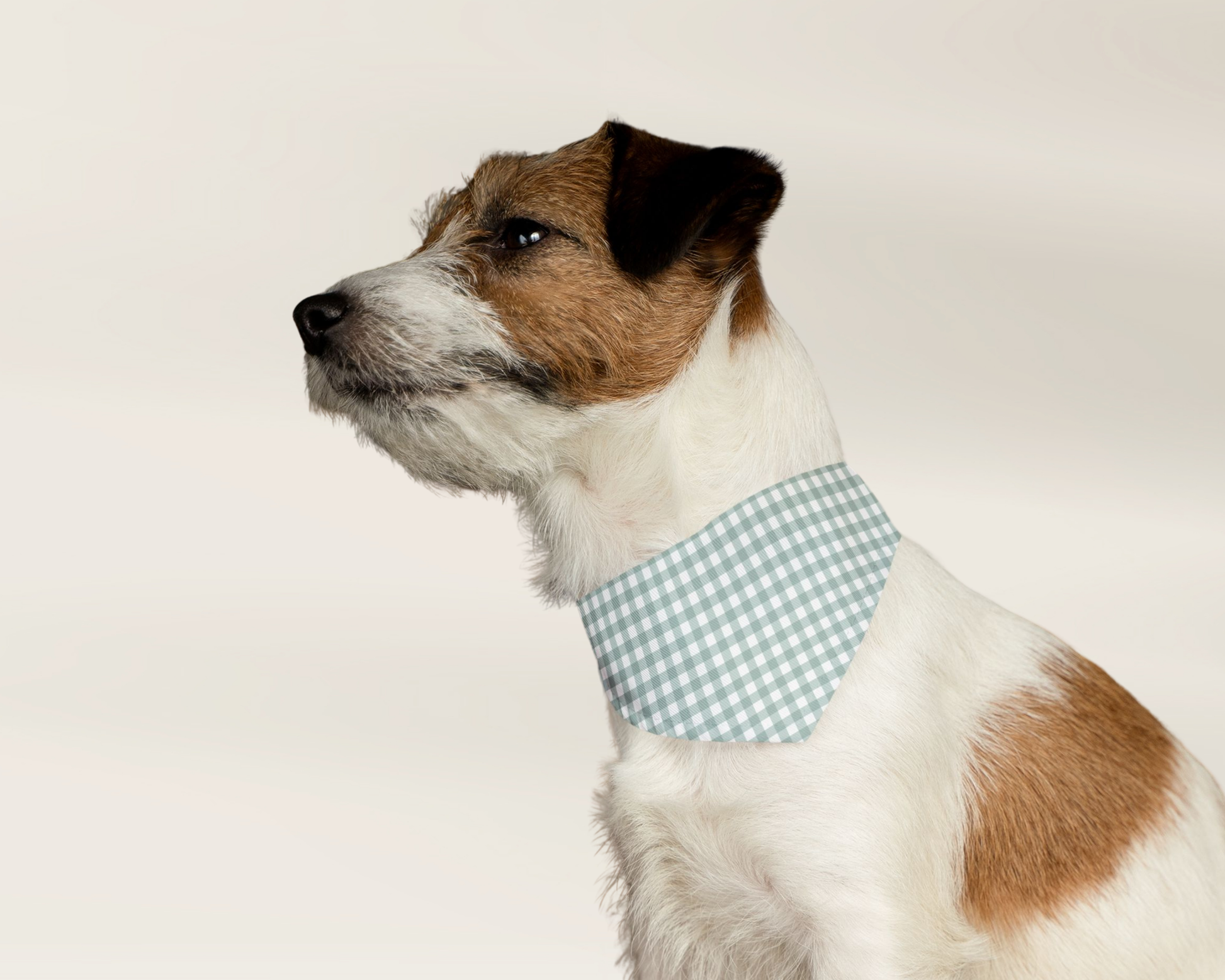 Pet Bandana Over The Collar - Gingham Sage - TLC Paws