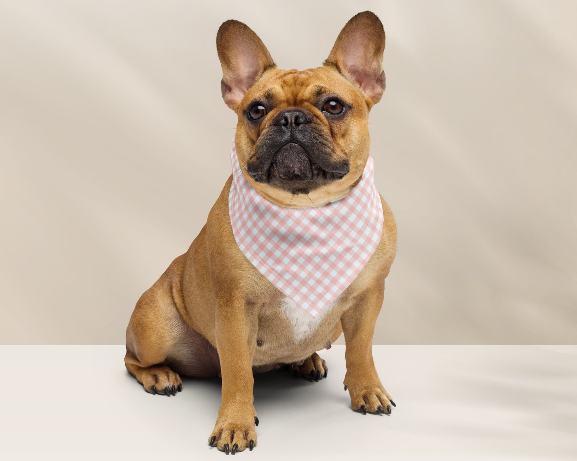 Custom Pet Bandana - Gingham Pink - TLC Paws