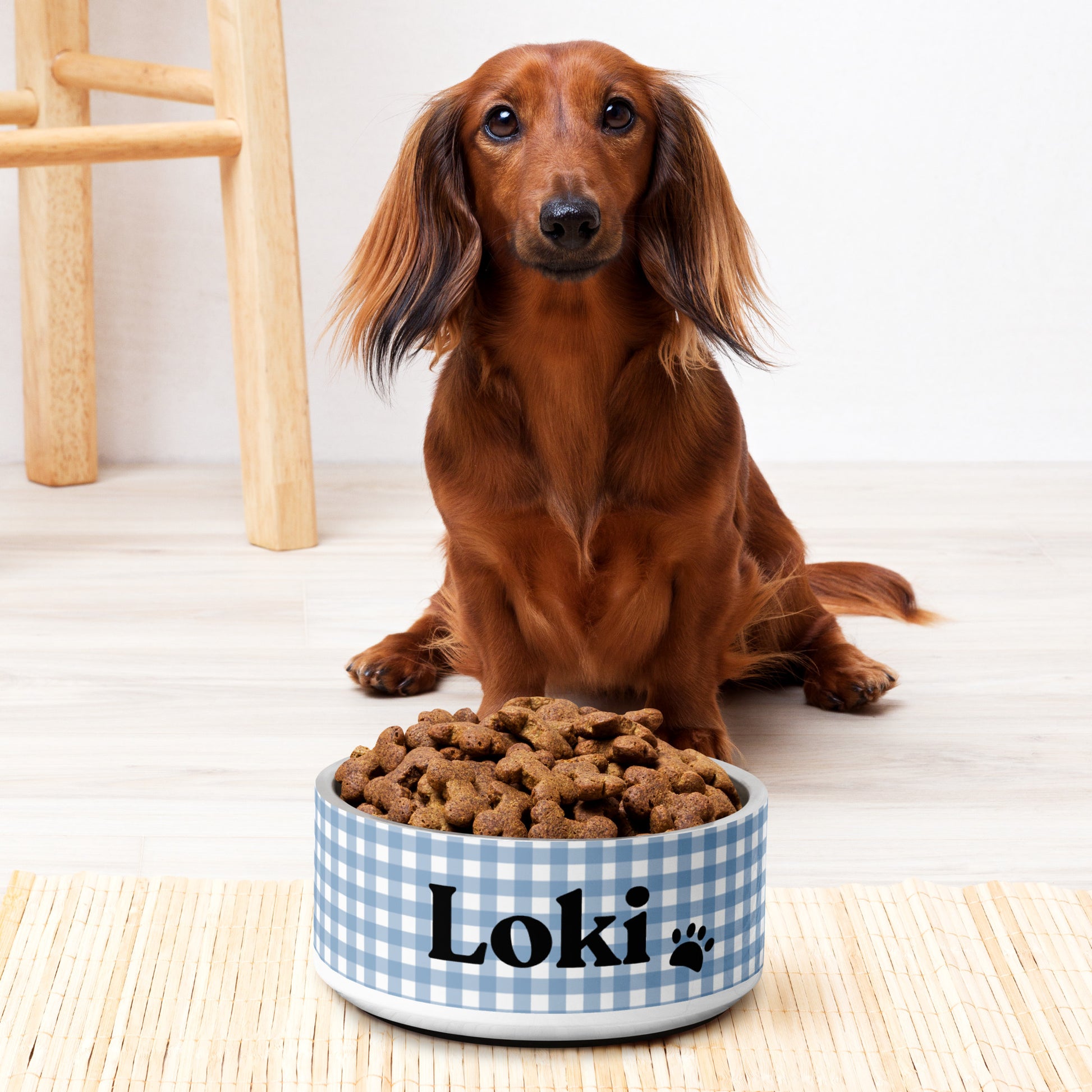 Personalized Dog Bowl and Cat Feeder - Gingham Blue - TLC Paws