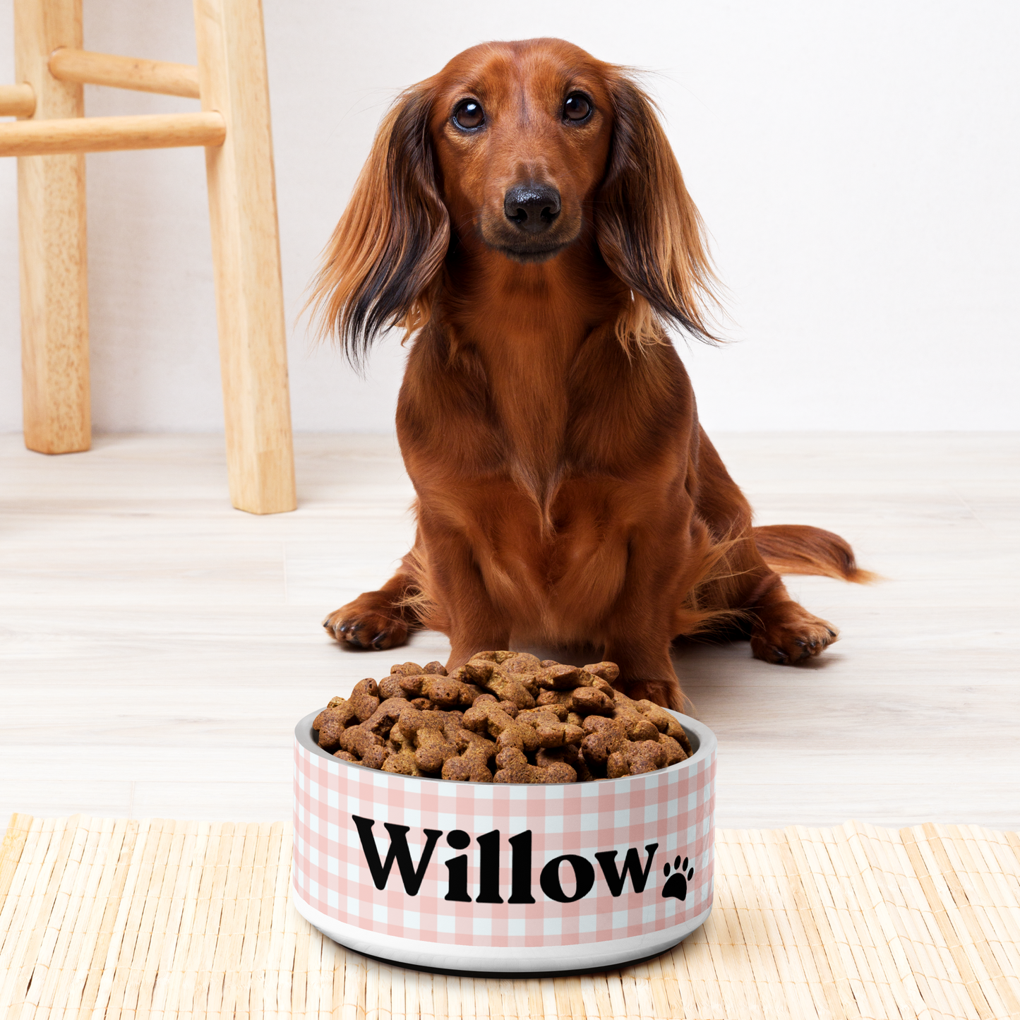 Personalized Dog Bowl and Cat Feeder - Gingham Pink - TLC Paws