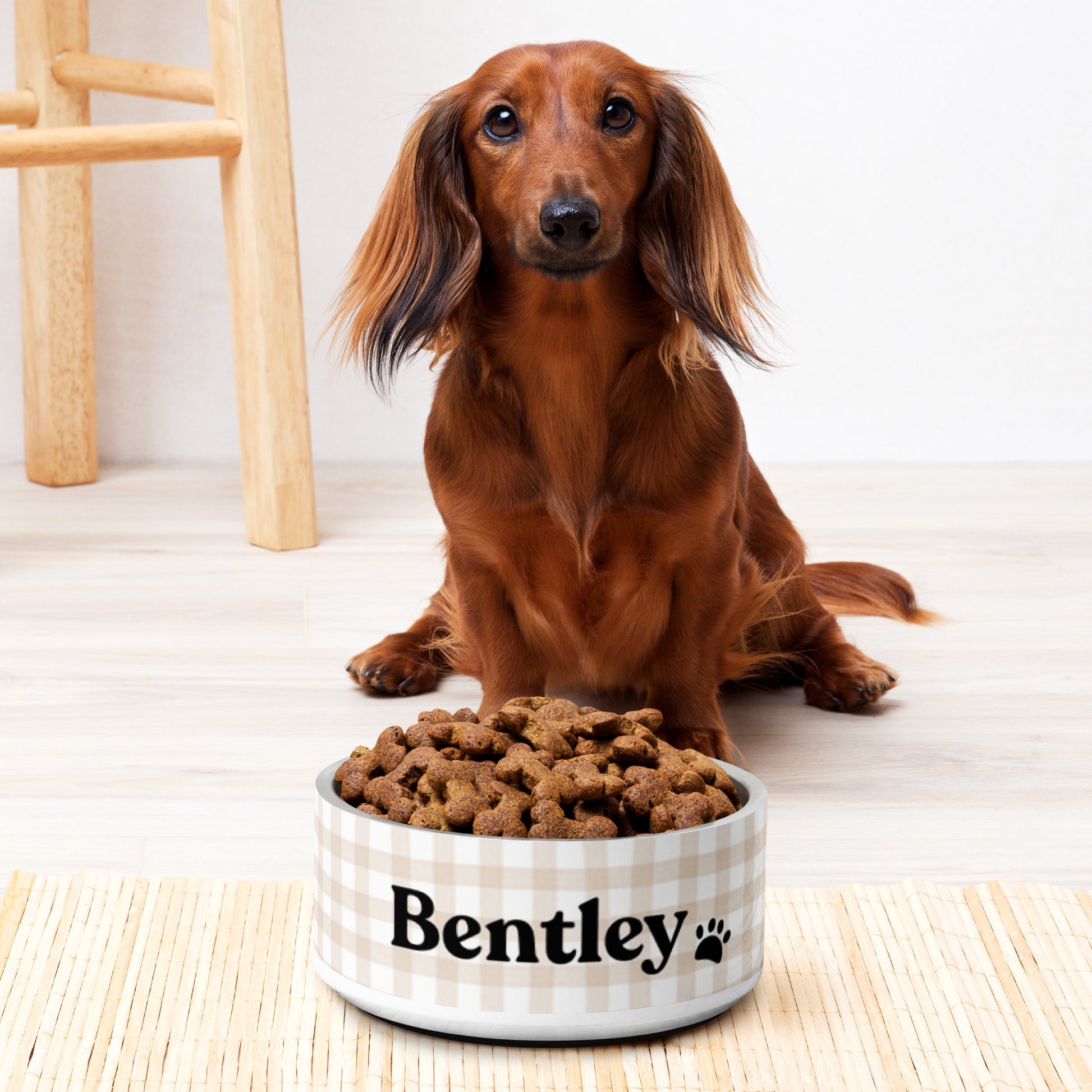 Personalized Dog Bowl and Cat Feeder - Gingham Sand - TLC Paws