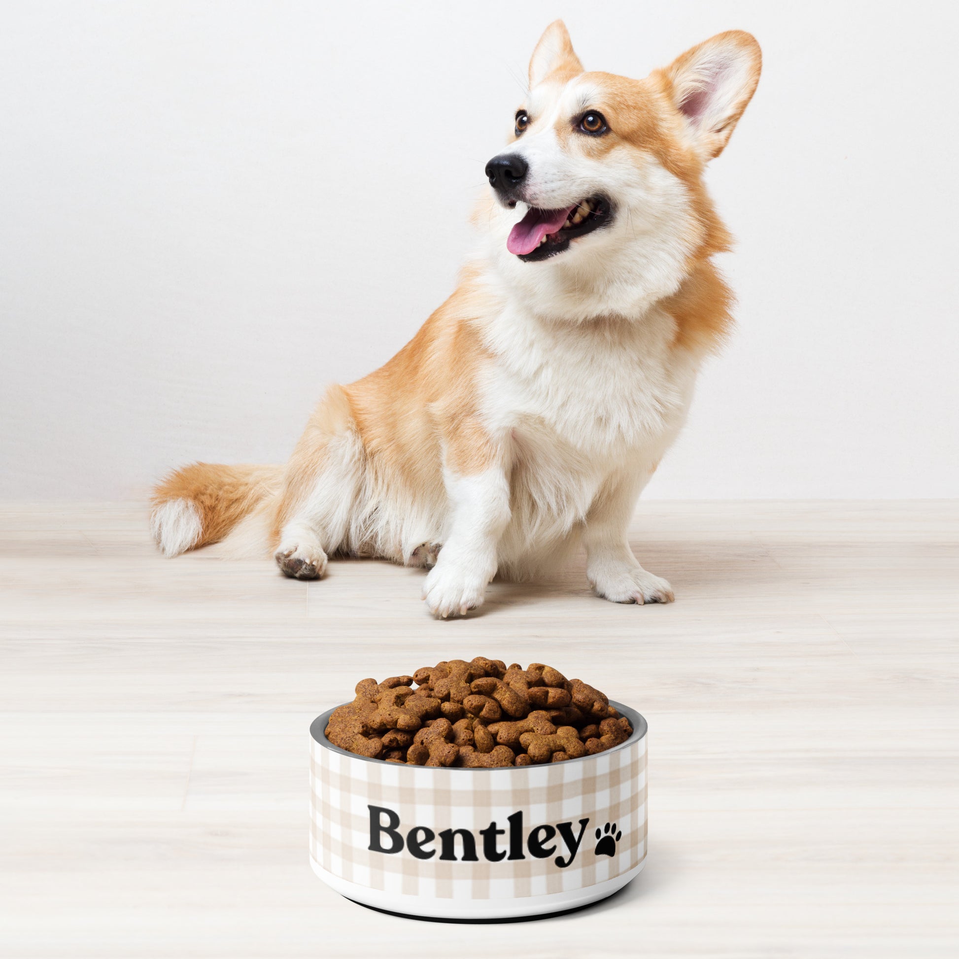 Personalized Dog Bowl and Cat Feeder - Gingham Sand - TLC Paws