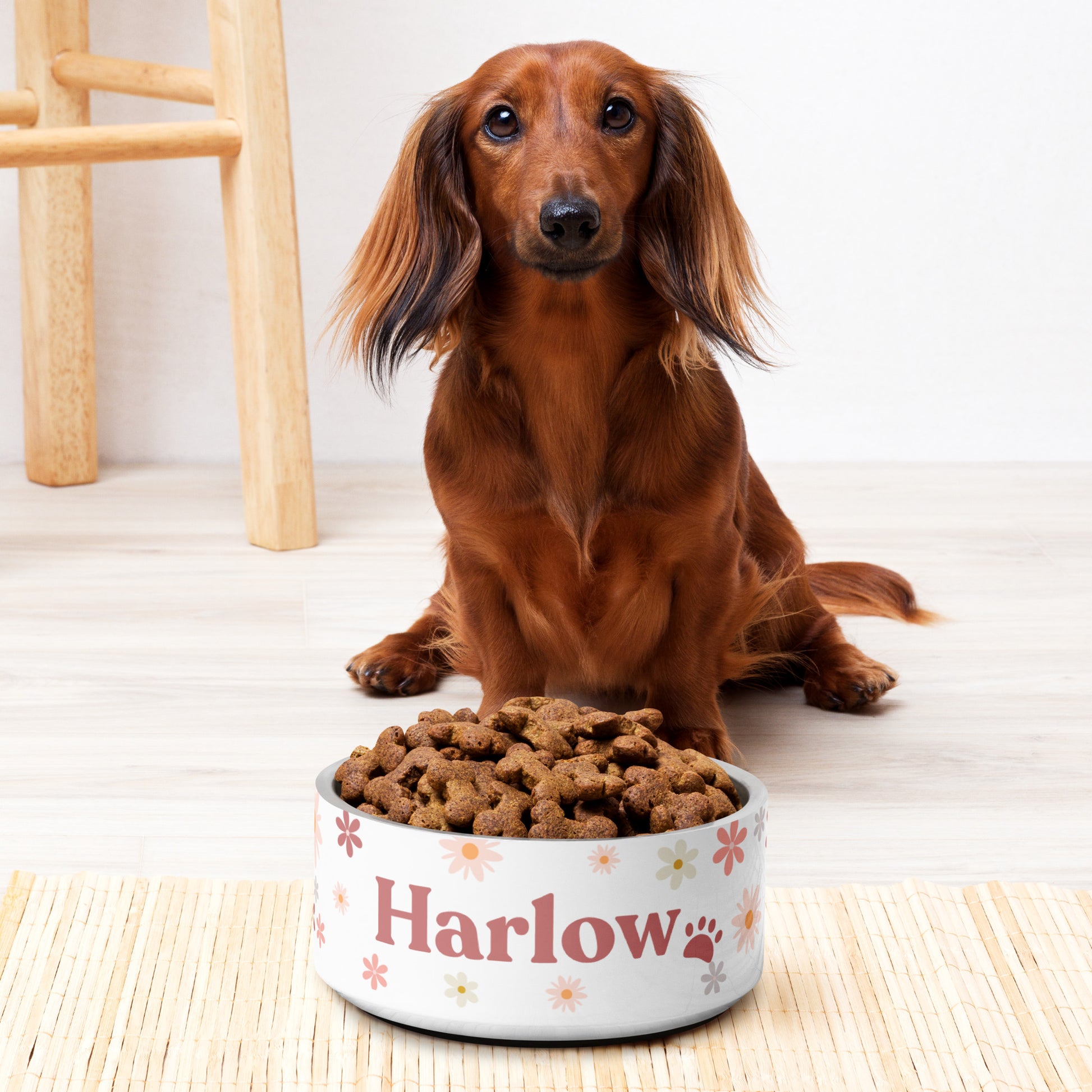 Personalised Pet Dog Bowl and Cat Feeder - Retro Floral - TLC Paws