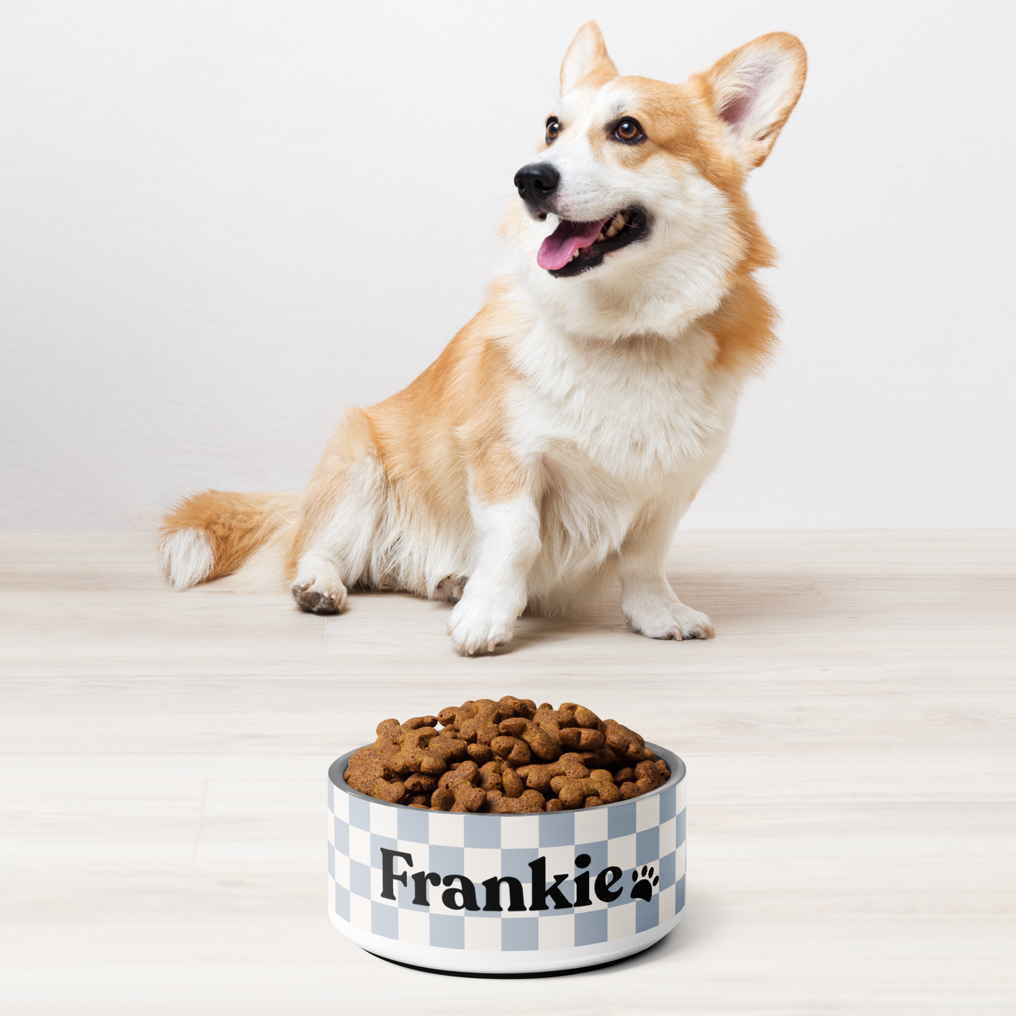 Personalised Pet Dog Bowl and Cat Feeder - Checkered Powder Blue - TLC Paws