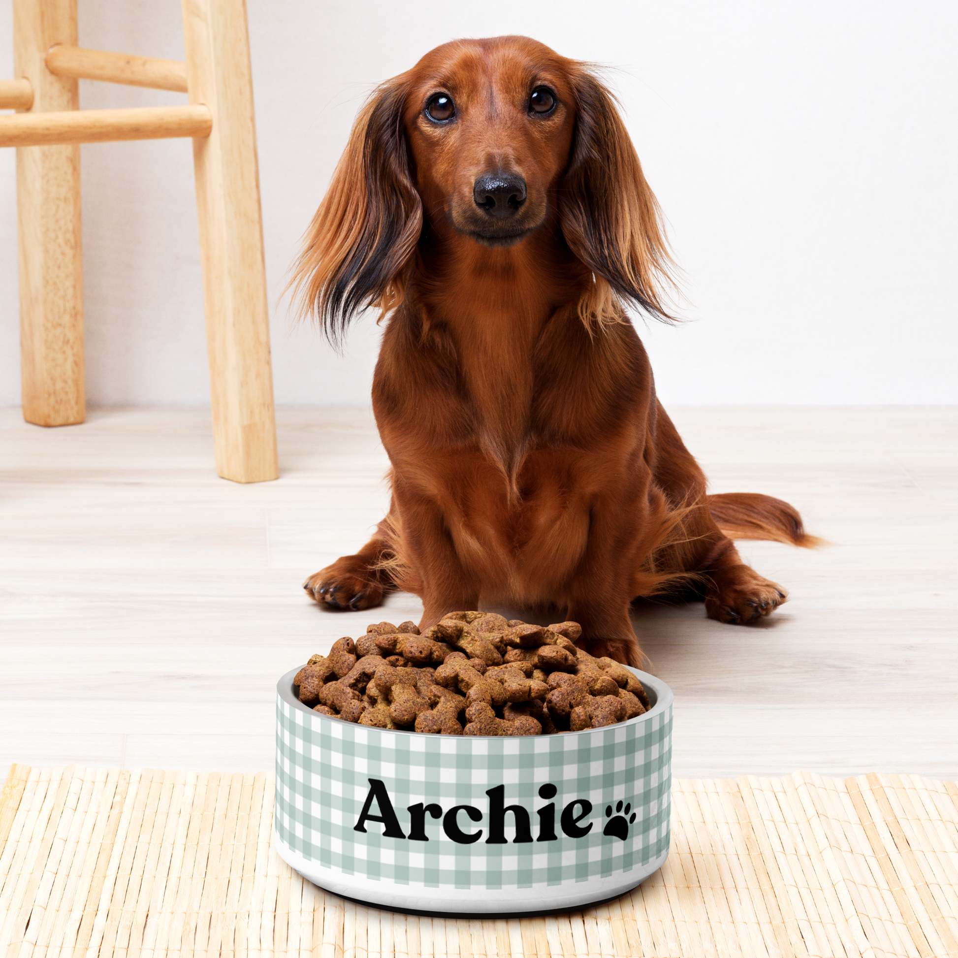 Personalized Dog Bowl and Cat Feeder - Gingham Sage - TLC Paws