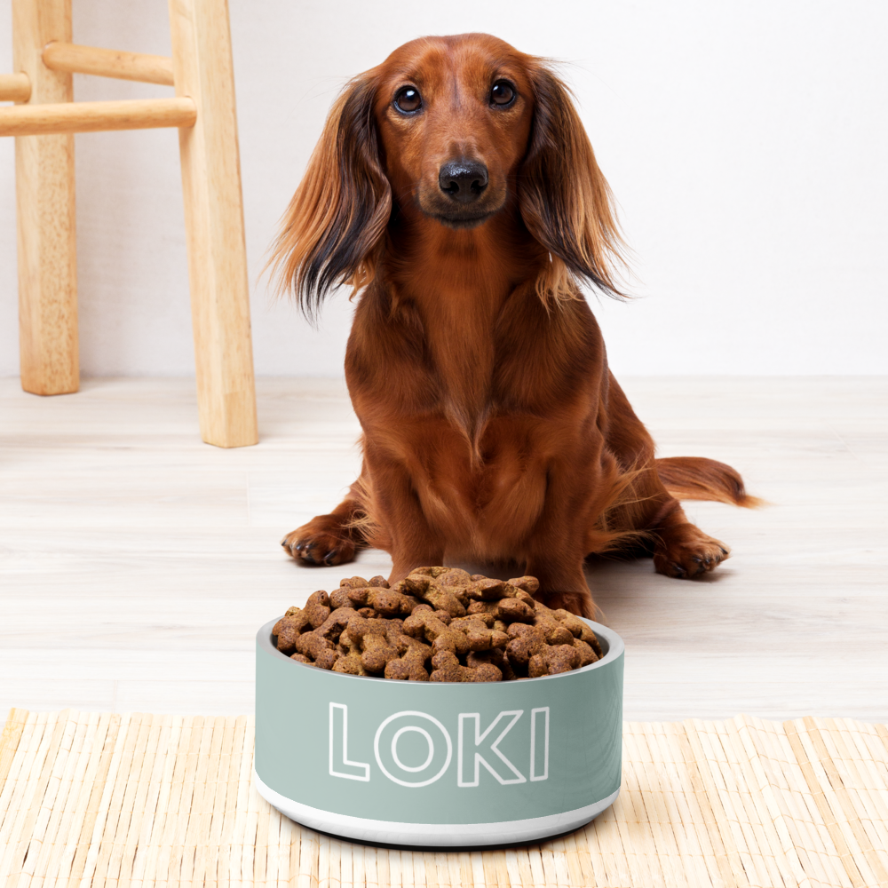 Personalised Dog Bowl and Cat Feeder - Sage - TLC Paws