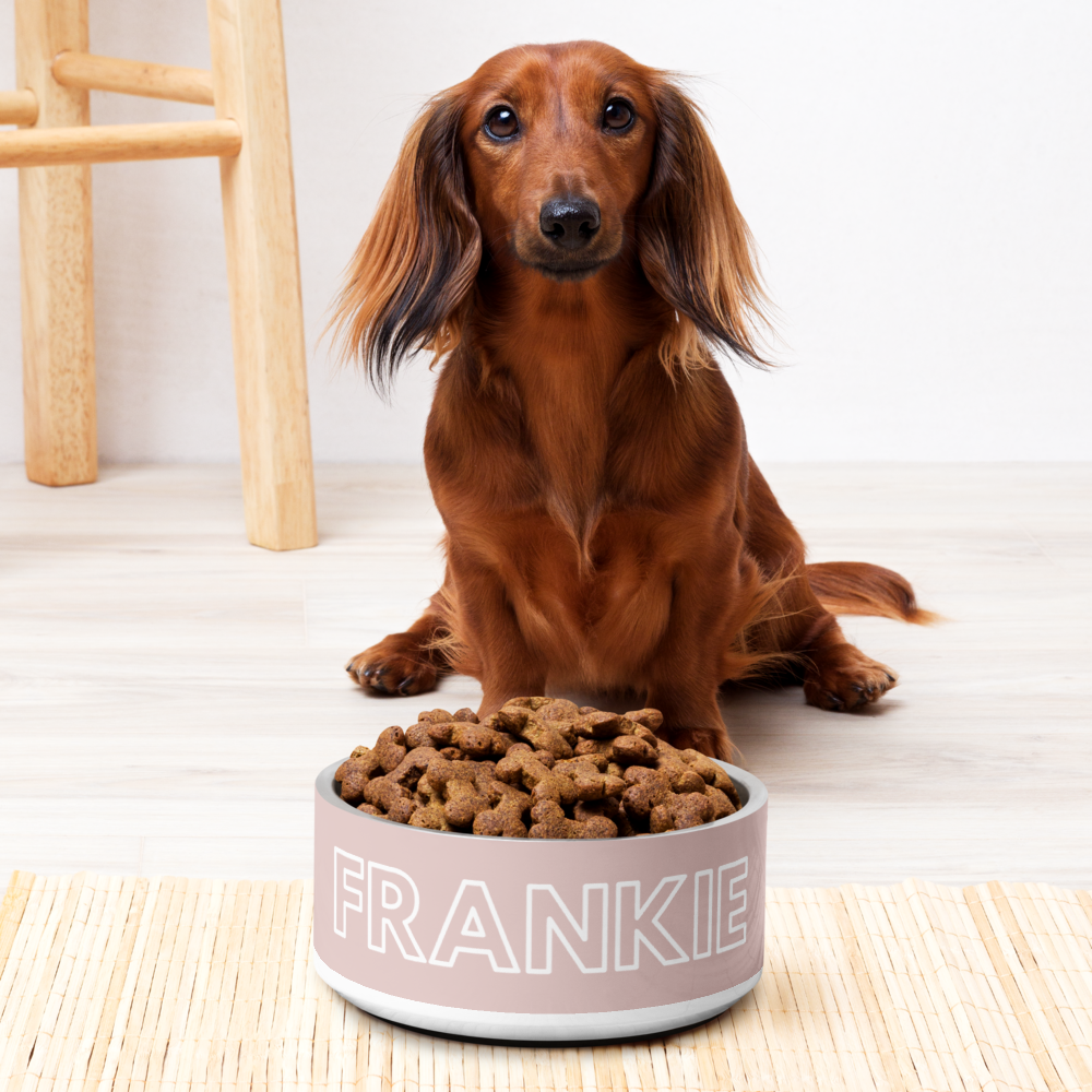 Personalised Dog Bowl and Cat Feeder - Dusty Pink - TLC Paws