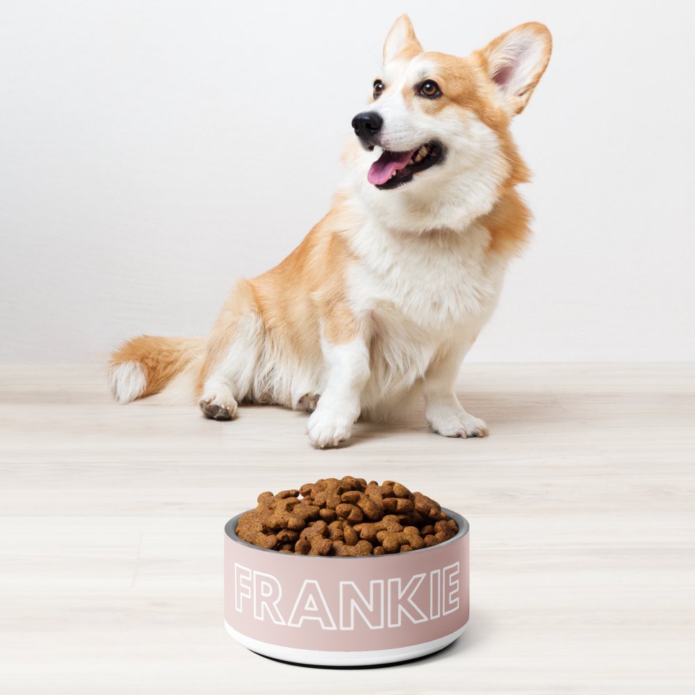 Personalised Dog Bowl and Cat Feeder - Dusty Pink - TLC Paws