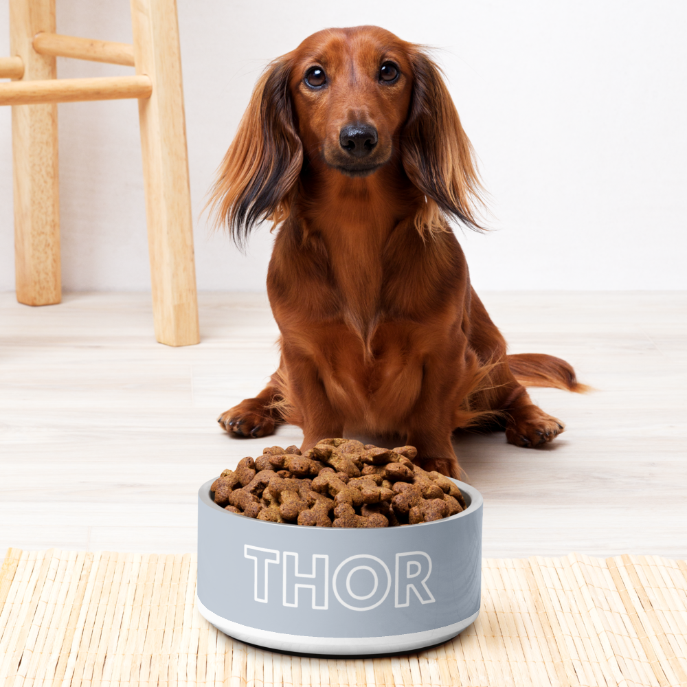 Personalised Dog Bowl and Cat Feeder - Powder Blue - TLC Paws